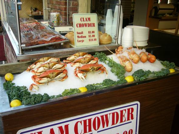 clam chowder
